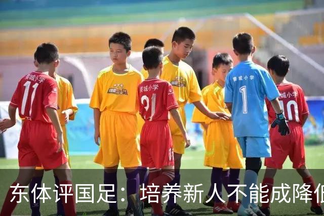 东体评国足：培养新人不能成降低要求的理由，试阵容目的应明确