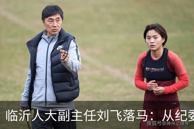 临沂人大副主任刘飞落马：从纪委书记到阶下囚，执纪者终是破了戒