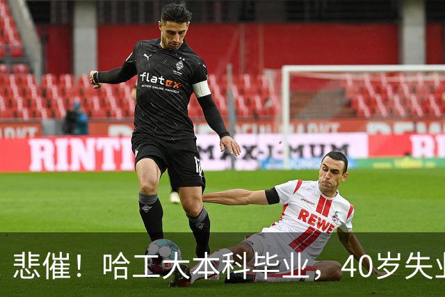 悲催！哈工大本科毕业，40岁失业四五年，无业无妻无后且存款微薄