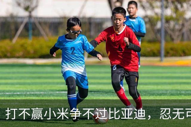 打不赢小米争不过比亚迪，忍无可忍的赛力斯，甩开华为自己干？