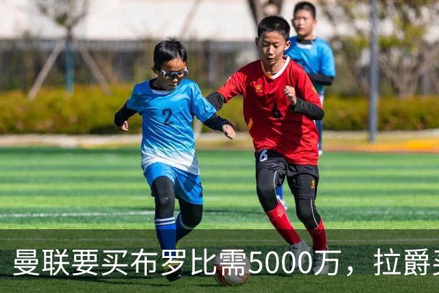曼联要买布罗比需5000万，拉爵买不起！费迪南德建议免费签本泽马