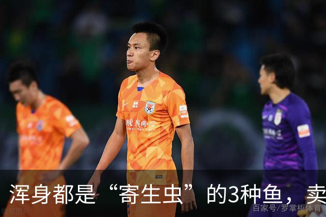 浑身都是“寄生虫”的3种鱼，卖鱼商贩都不敢吃，白送也千万别要