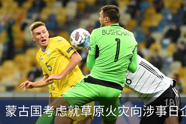 蒙古国考虑就草原火灾向涉事日企索赔
